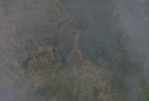 Incêndio atinge o parque da pedra branca, na zona oeste do rio de janeiro